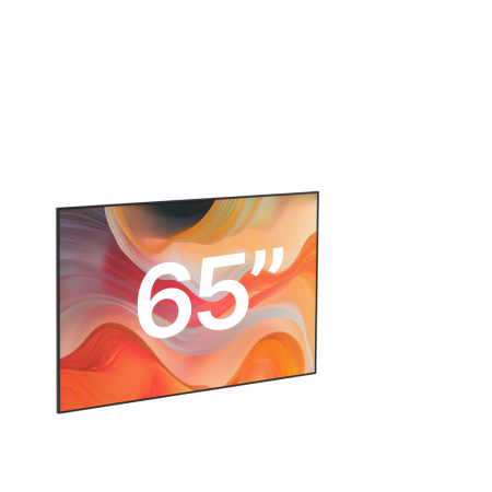 Ekrany LED 65" FullHD